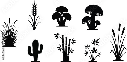 Collection of black silhouette plant icons including mushrooms cactus bamboo wheat and reeds for nature and design elements
