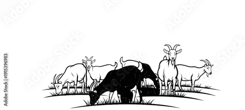 A group of goats grazing on a grassy knoll in a line