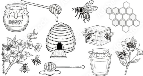 A collection of bee and honey related illustrations in a sketch style