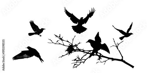 Silhouettes of birds perched and flying around a bare tree branch Vector