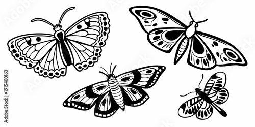 Four butterflies with intricate patterns and wings spread out in various directions Vector