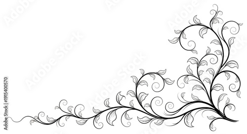 Black and White Floral Illustration.