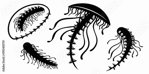 A diverse collection of jellyfish showcasing various shapes and sizes Vector