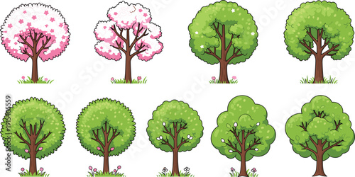 four seasons trees