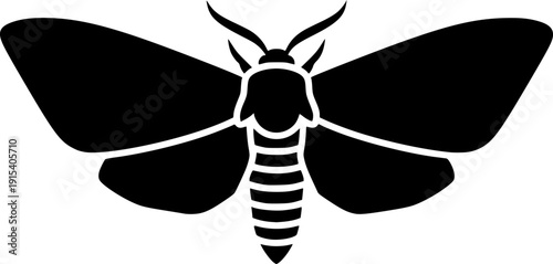 codling moth silhouette line art vector illustration with a white background

