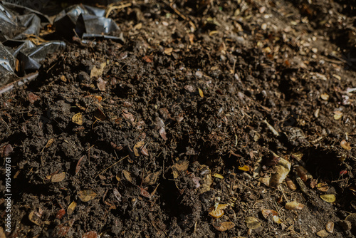 Принти на полотні Rich, dark soil created from decomposed leaves and cow dung, packed with organic nutrients