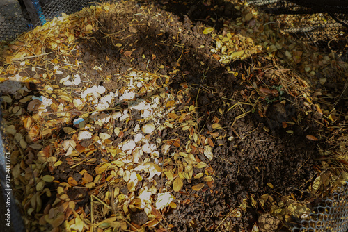 Принти на полотні Rich, dark soil created from decomposed leaves and cow dung, packed with organic nutrients