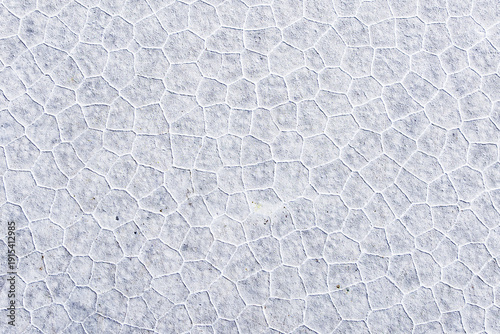 Cracked salt surface, Salinas Grandes, Jujuy, Argentina