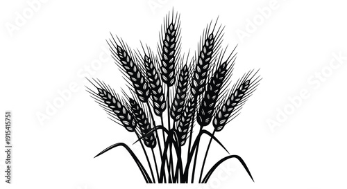 A detailed illustration of several wheat stalks with flowing heads and stems presented as a silhouette high quality