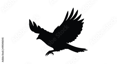 A striking black silhouette of a bird soaring with outstretched wings against a stark white background silhouette