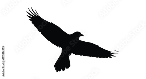 A striking black bird with outstretched wings soars through the air captured as a dramatic silhouette high quality