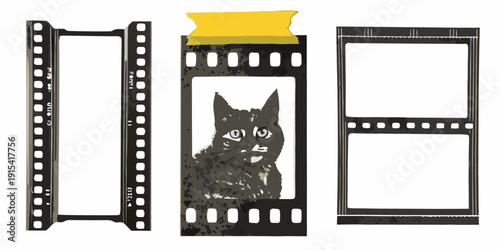 Three strips of film two empty and one with a cat portrait