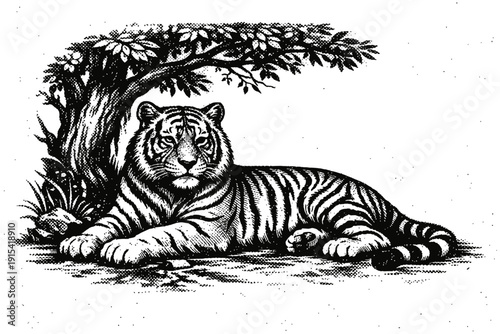 Magnificent Striped Tiger Resting Serene Under Shady Jungle Tree Canopy – A Captivating Vintage Black and White Wildlife Engraving Showcasing Nature's Majestic Predator in its Natural Habitat, Peacefu