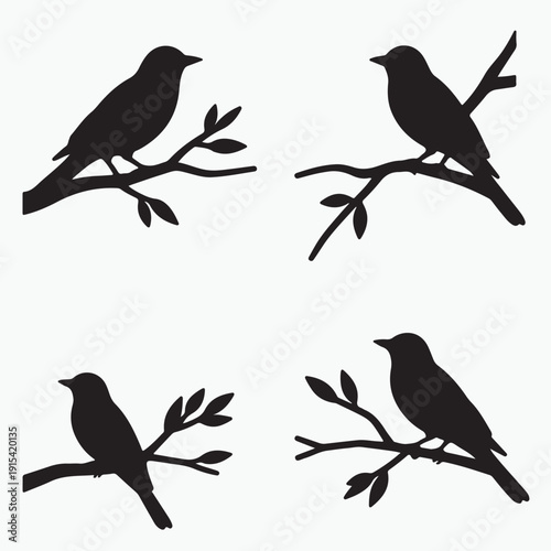 A cute vector illustration featuring a black silhouette set of wild birds like sparrows and bullfinches perched on a winter tree branch with elegant feather and wing details