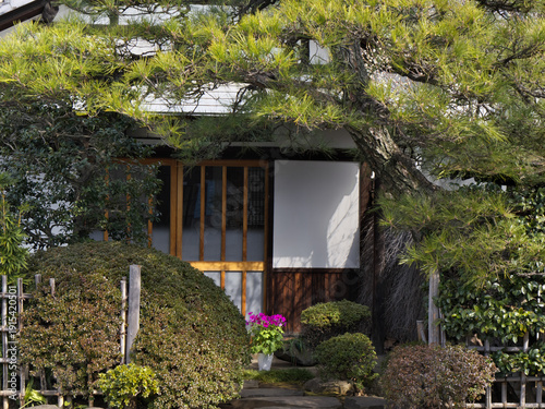 松と生垣に囲まれた和風住宅の玄関