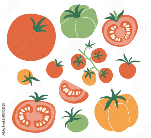 Vector set of colorful tomato isolated on white background. Stylish flat vegetable illustration. Tomatoes of different varieties. Food collection