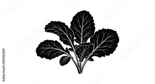 A striking black and white illustration depicts a cluster of leafy greens showcasing botanical detail as a silhouette