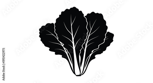 A strikingly detailed black silhouette of leafy greens showcasing natural textures and botanical form silhouette high quality professional