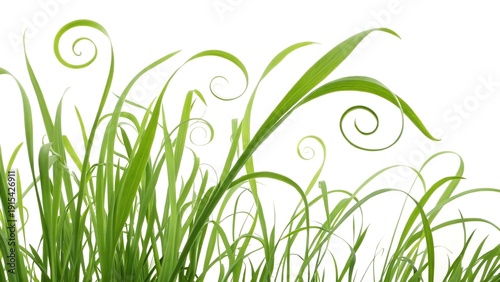 Close-up of lush green grass with swirling blades reaching towards a bright sky, conveying freshness and growth