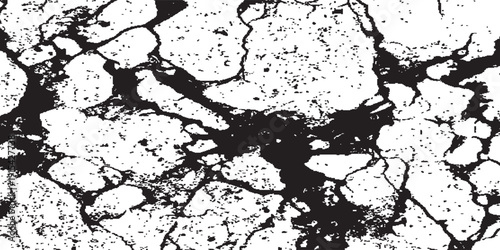 Abstract Cracked Texture Background Black and White Grunge Pattern.