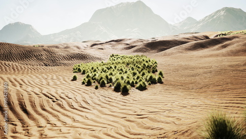 Lush green shrubs stand out in a dry desert scene, surrounded by golden sand dunes and majestic mountains. The clear blue sky adds to the serene beauty of this unique environment.