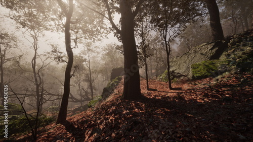 Obraz na płótnie Soft morning light dances on fallen leaves as trees stand tall in a quiet forest