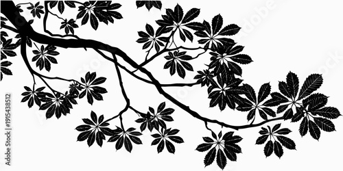 Intricate black and white illustration of a leafy branch with delicate details Vector