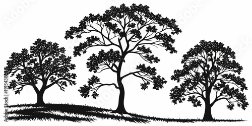 A serene landscape with three trees standing tall in a field under a clear sky Vector