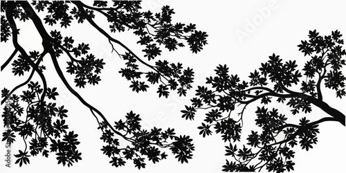 Photos A detailed black and white illustration of a tree branch with numerous leaves Ve