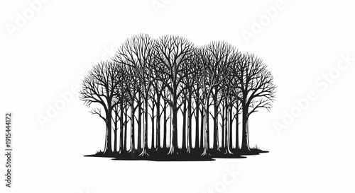 A stark black and white illustration depicts a dense cluster of bare deciduous trees