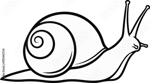 A simple black and white outline drawing of a snail, facing right