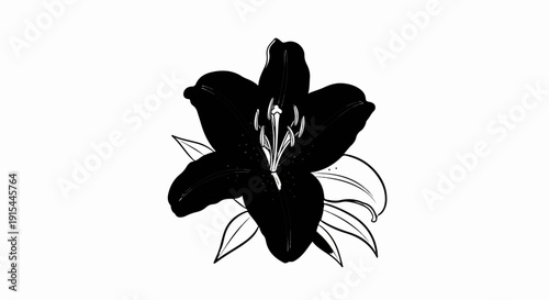 A stark black lily with delicate outlines of leaves and petals