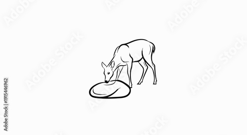 A line drawing of a deer nuzzling a rounded shape on the ground