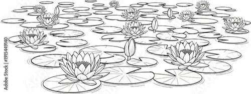 A serene pond filled with blooming water lilies and lily pads