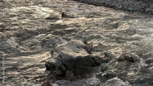 Close-up of mountain stream flowing over rocks, gradually merging into calmer larger river. Sunset light, trees and forest around. Beautiful nature scene.