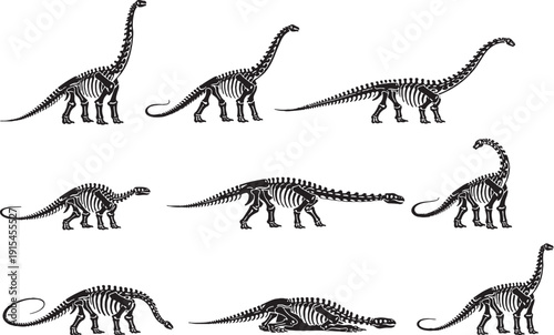 Diplodocus Skeleton Line Art Bundle ? Black and White Dinosaur Skeleton Icons.eps