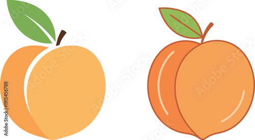 Illustration of two oranges with green leaves