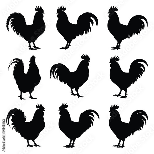 Nine black silhouettes of roosters in various poses and perspectives