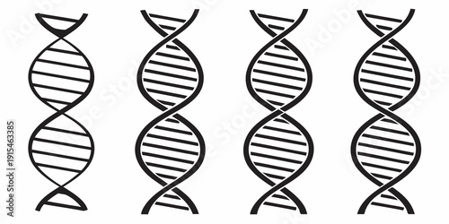 The image shows four double helix structures representing dna strands. Vector