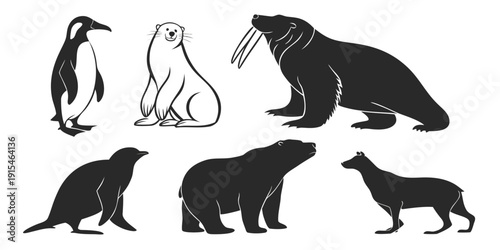 Illustration of diverse animals including penguins, seals, and bears Vector