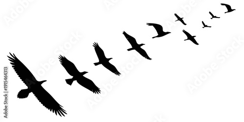 A flock of birds flying in a diagonal formation against a white background Vector