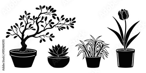 Four potted plants with different leaf shapes and sizes arranged in a row. Vector
