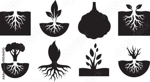 Plant Growth and Development Silhouette Icons Set