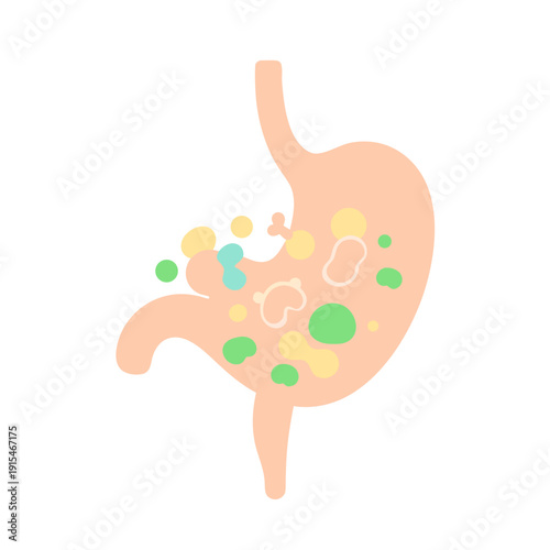Microbiome Gut Health Diagram