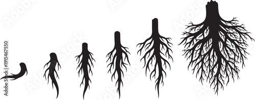 Root growth stages of a plant illustration set