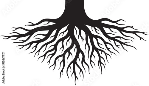 Black Tree Roots Silhouette on White Background Illustration