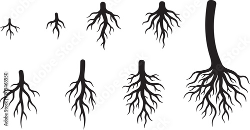 Black silhouettes of tree roots on white background