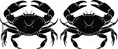 Black vector silhouette set of two large edible crabs with sharp claws for seafood restaurant branding marine biology education and coastal kitchen menu design