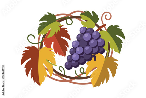Vibrant bunch of ripe purple grapes nestled amongst autumnal leaves and winding vines