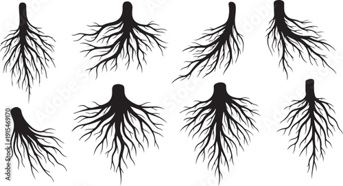 Set of black root silhouettes on white background